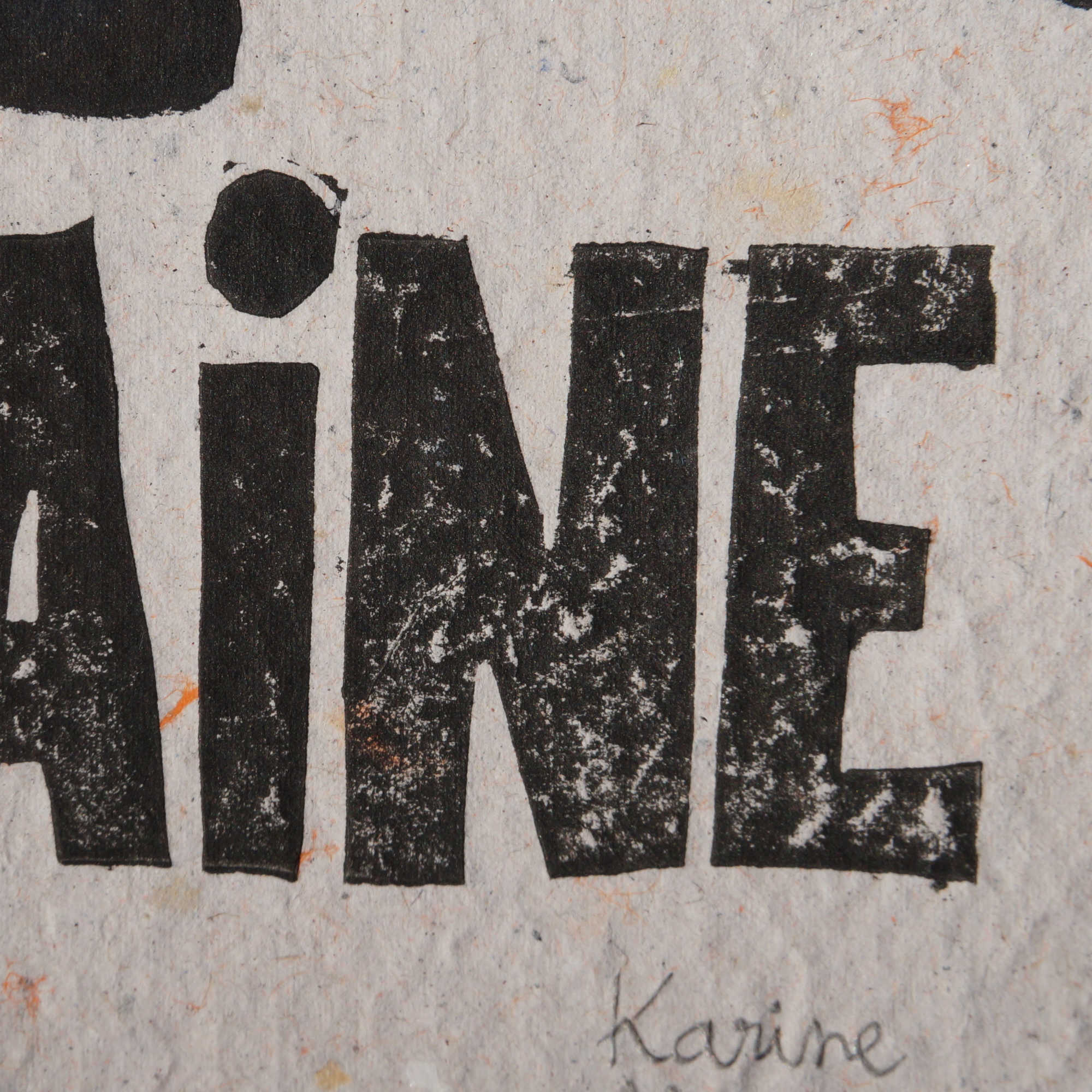 La vie laine – Image 4