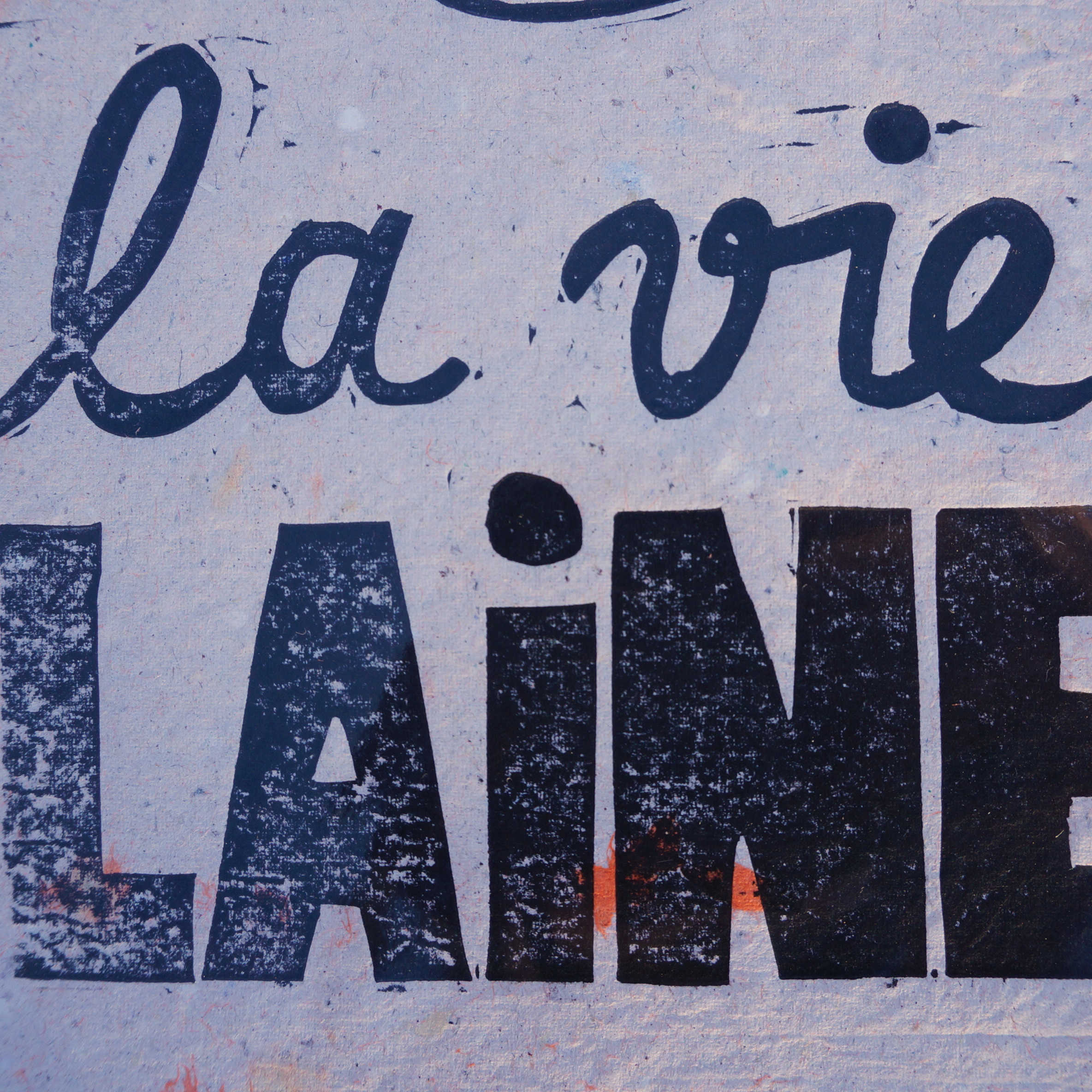 La vie laine – Image 3