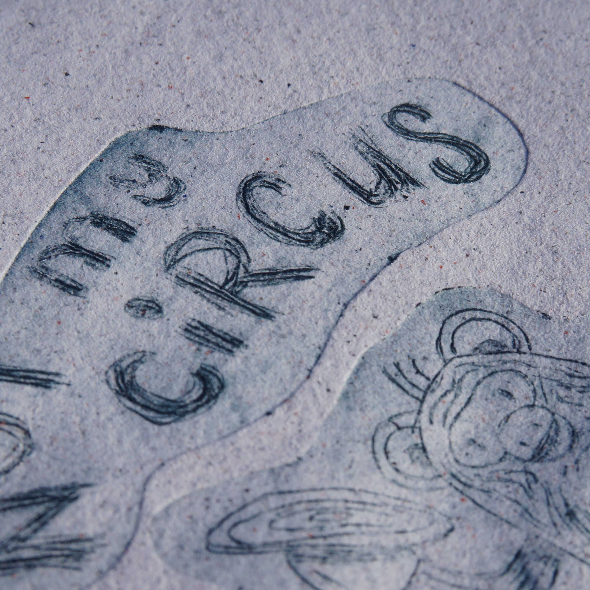 Not my circus ... – Image 2